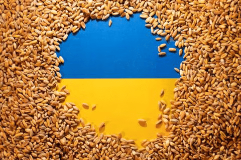 锦鲤视频app苹果版
:又一个！英媒：波兰、匈牙利后，斯洛伐克将暂停进口乌克兰谷物等食品
