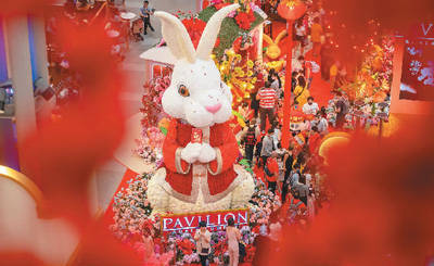 德国版街头小苹果:中国兔火遍世界各地（侨界关注）-第1张图片-太平洋在线下载