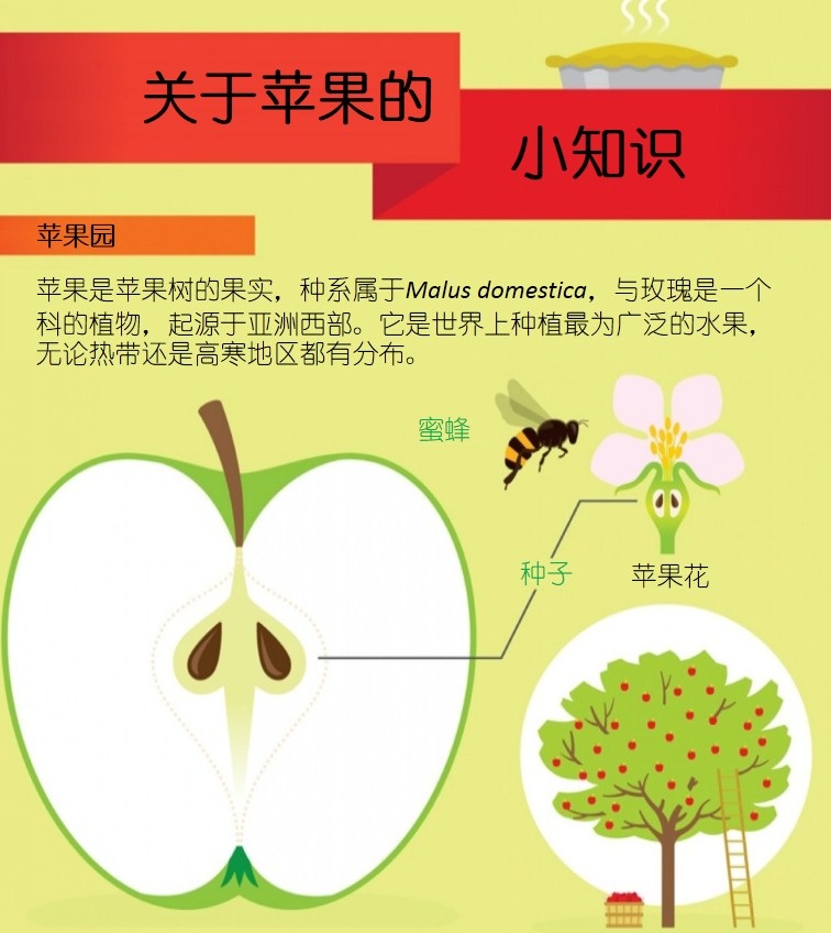 药比较苹果版苹果APP试玩