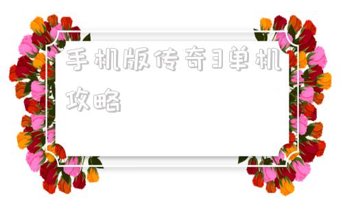 手机版传奇3单机攻略176新开的传奇网站