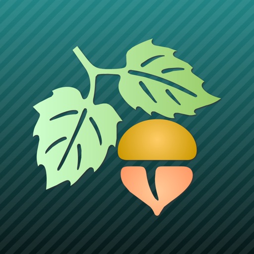 fiminaviapp安卓版appinfoiconmobile元梦之星