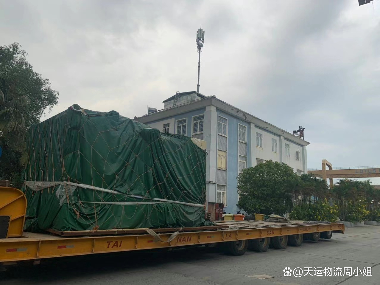 956物流平台客户端956物流与供应链管理
