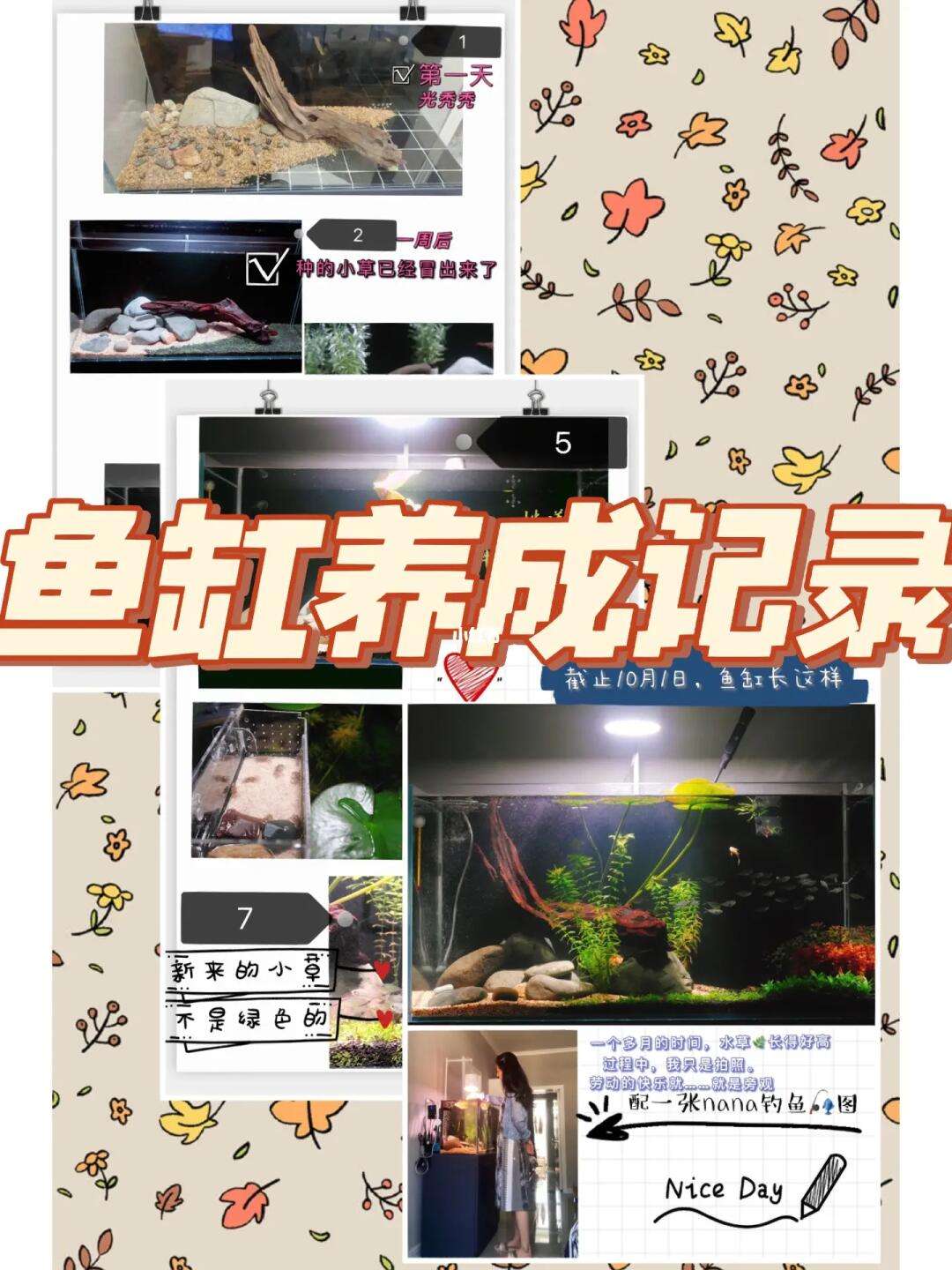 包含手机版懒汉怎么登录游戏的词条-第2张图片-太平洋在线下载