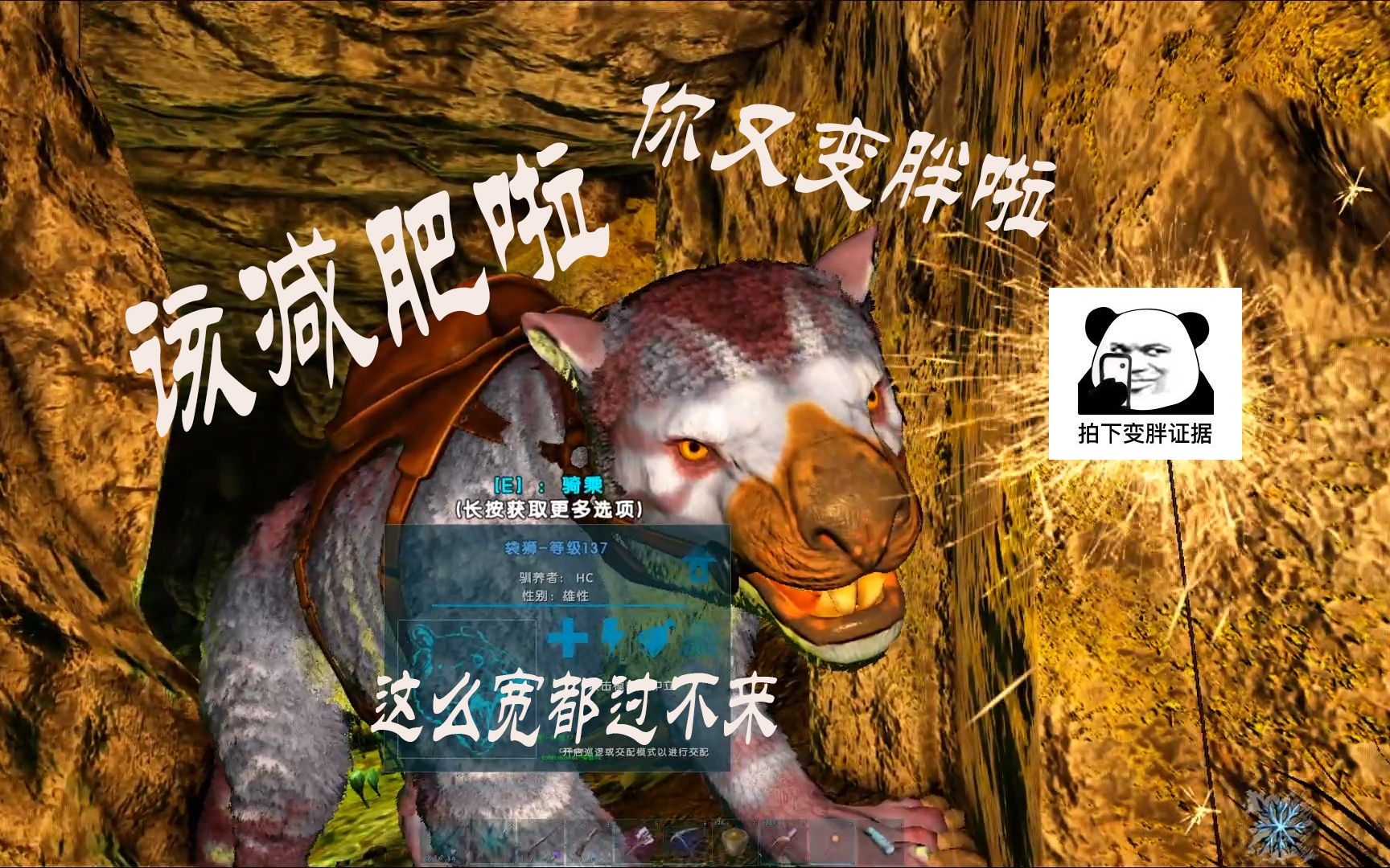 手机版方舟有没有袋狮方舟手游袋狮在哪里必刷