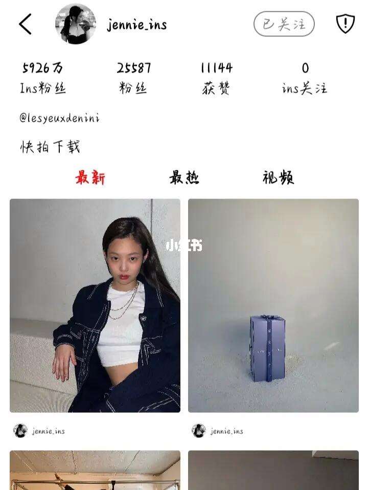 安卓版怎么安装ins安卓手机怎么安装ins-第2张图片-太平洋在线下载