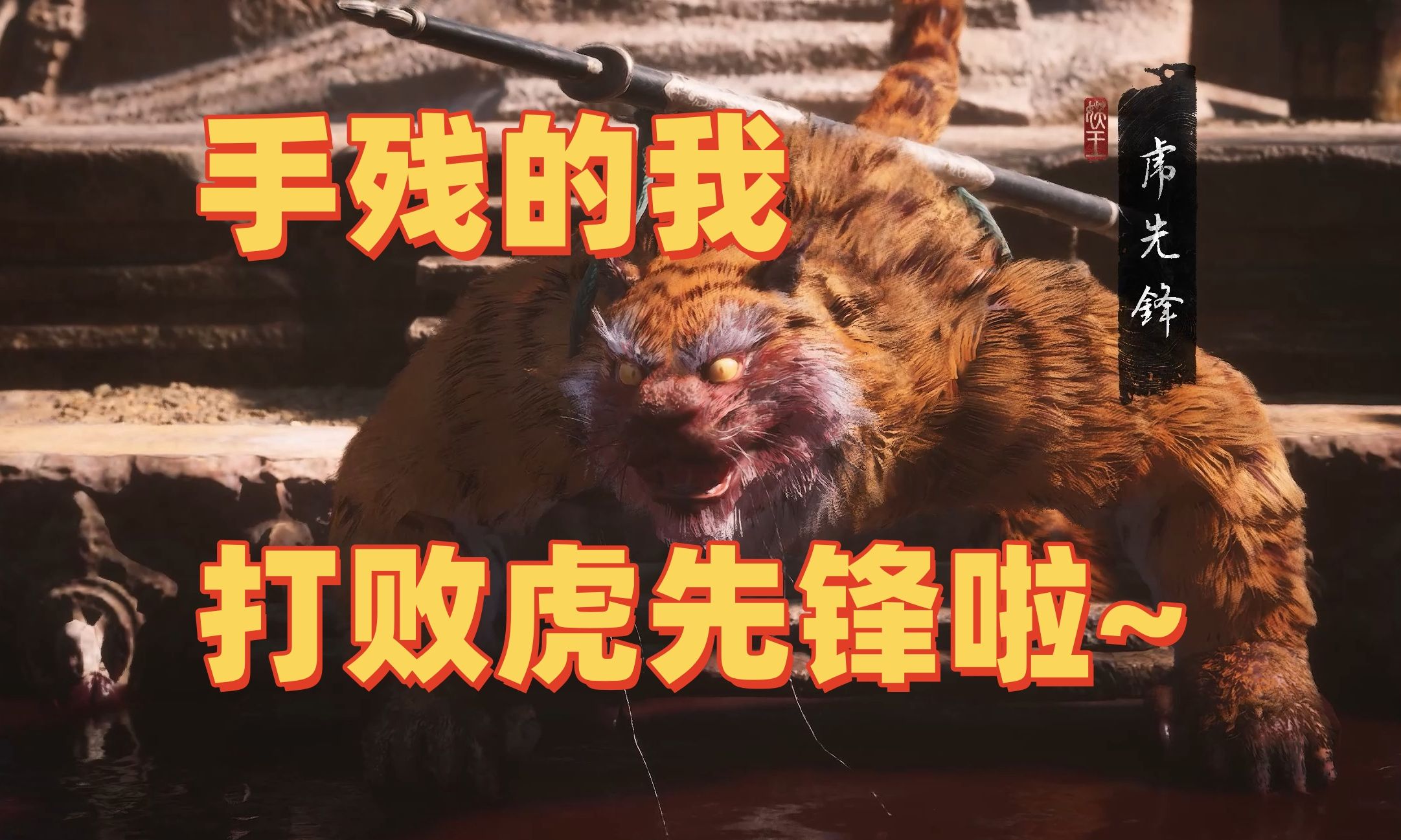 类似老虎直播苹果版魅影直播软件苹果手机版下载-第2张图片-太平洋在线下载