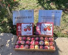 泰康驾到苹果版iphone看免费视频的app-第2张图片-太平洋在线下载