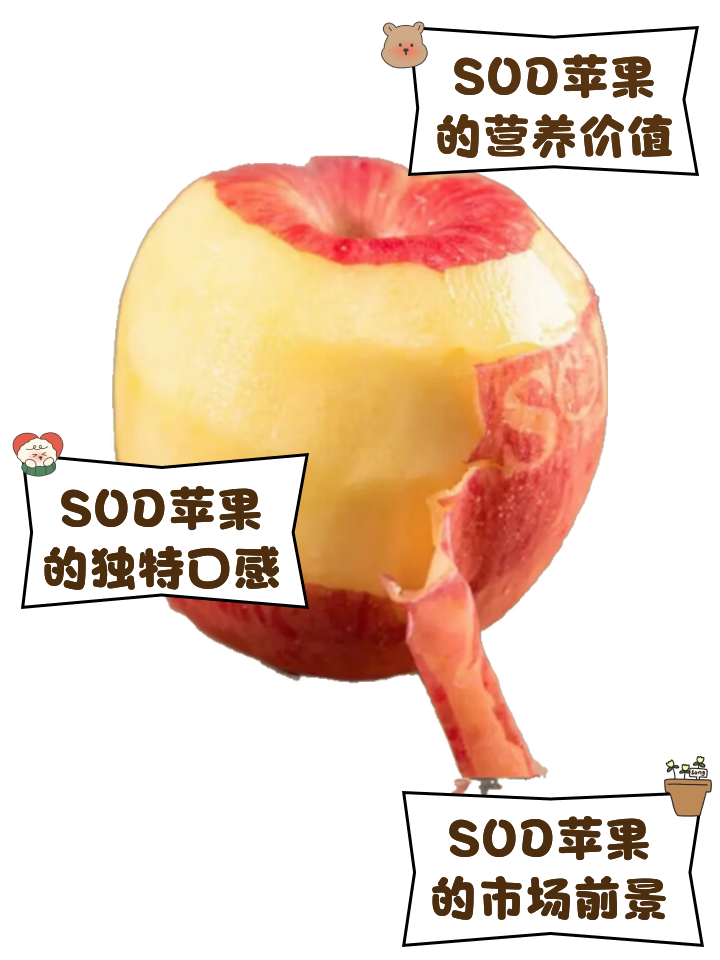 苹果dn什么版苹果dns设置什么最好